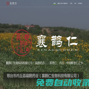 襄鵲仁生物科技有限公司|邢棗仁|內(nèi)丘酸棗仁|中國酸棗仁之鄉(xiāng)|扁鵲藥谷-邢臺(tái)市襄鵲仁生物科技有限公司