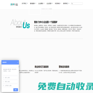 智放營銷，中國第一家革新式實戰(zhàn)營銷執(zhí)行機構，營銷咨詢公司