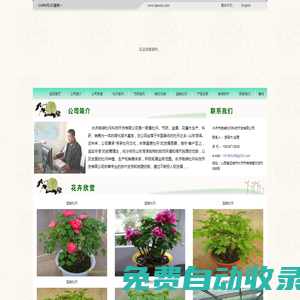 永濟市艷裝牡丹科技開發(fā)有限公司―牡丹,芍藥,花木,苗木,鮮切花供應基地