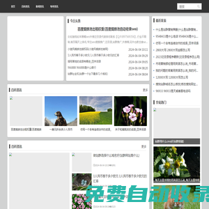 伯樂資訊網