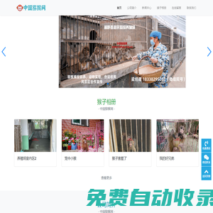 猴子收購,猴子撲捉,實驗猴子養殖,哪里賣猴子,新野利民獼猴養殖場首頁