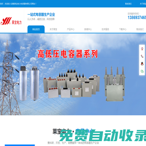 淄博萊寶電力電容器有限公司-萊寶電力，萊寶電容器