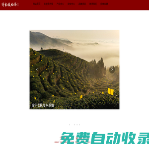 福建奇古枝茶業有限公司_食品