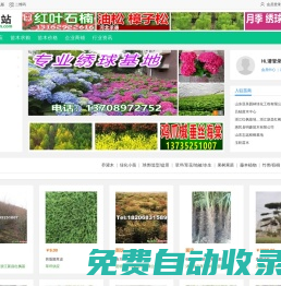 苗木站_苗木求購信息|苗木供應(yīng)信息|綠化苗木價(jià)格_第一苗木站_專業(yè)苗木網(wǎng)站