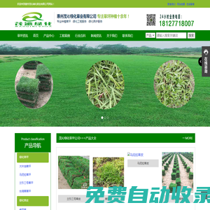 茂沁綠化-專業(yè)種植綠化草坪,綠化草皮,綠化草卷,草皮草坪,廣東省內(nèi)專業(yè)的草皮種植供應(yīng)商,承接各種綠化養(yǎng)護工程
