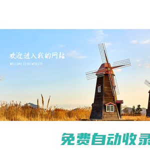 焱龍彩燈焱龍文化彩燈彩船燈會亮化彩燈花燈策劃設計專業制作