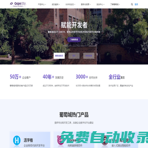 葡萄城官網(wǎng) - 為開發(fā)者提供專業(yè)的開發(fā)工具、解決方案和服務(wù)，賦能開發(fā)者
