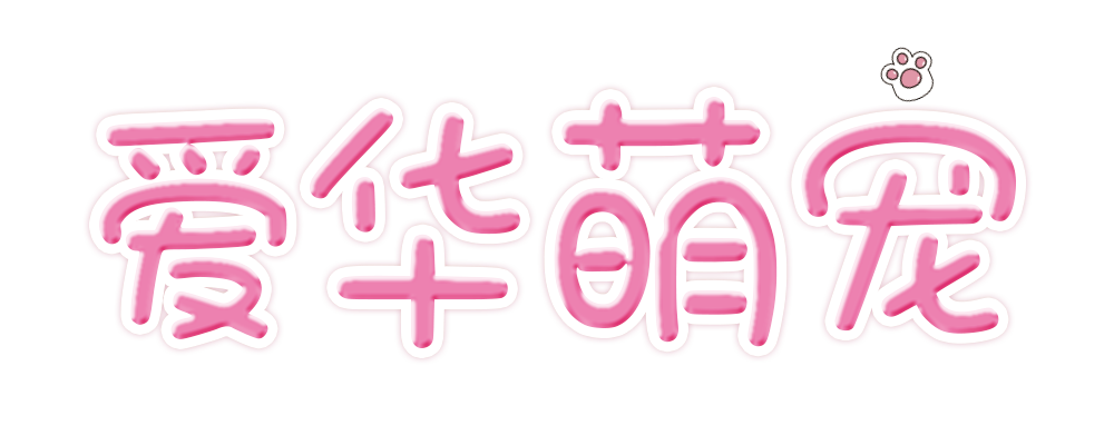 愛華萌寵-寵物知識分享平臺