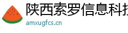 陜西索羅信息科技有限公司
