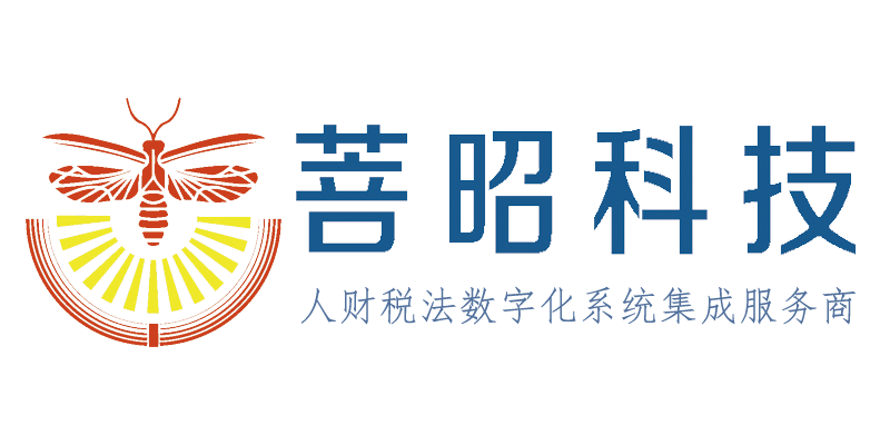 稅務(wù)風(fēng)險(xiǎn)管理,稅務(wù)風(fēng)險(xiǎn)檢測,財(cái)稅咨詢服務(wù)企業(yè)降本增效,菩昭科技（上海）有限公司