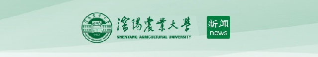 新聞網