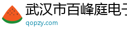 武漢市百峰庭電子商務有限公司