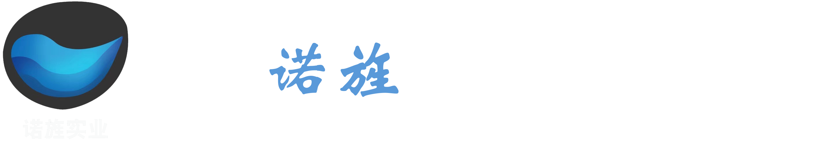上海諾旌實業有限公司