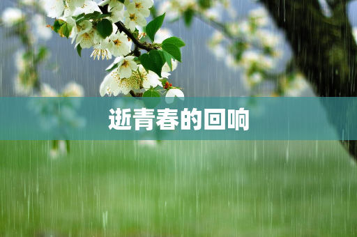 個人原創(chuàng)散文
