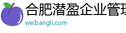 合肥潛盈企業(yè)管理咨詢有限公司