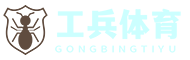 工兵體育資訊網_您的2024歐洲杯賽事專家