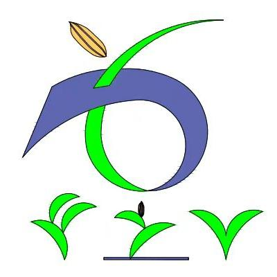 安徽豐之源新型膜材料有限公司水稻專用全生物降解地膜、覆膜插秧機 - 農業環保網站
