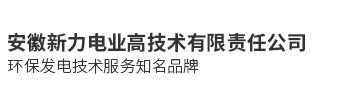 安徽新力電業高技術有限責任公司