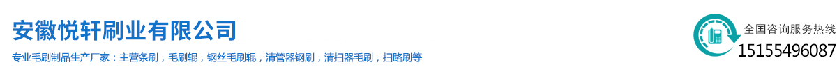 清管器鋼刷,清管器板刷,掃路刷,毛刷輥,條刷,板刷,毛刷板,安徽悅軒刷業(yè)有限公司