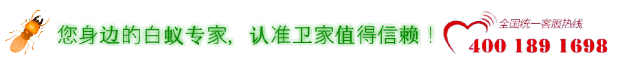 佛山白蟻防治所~您身邊的蟲害防控專家~南海、禪城、順德滅治白蟻公司-除四害殺蟲滅鼠-佛山市衛家白蟻防治有限公司