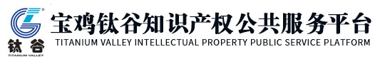 寶雞鈦谷知識產(chǎn)權(quán)公共服務(wù)平臺-寶雞鈦谷鈦產(chǎn)業(yè)戰(zhàn)略研究院有限公司