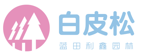 白皮松_陜西白皮松產地直銷報價_藍田利鑫白皮松園林