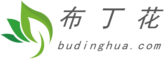 布丁花_PPT模板免費下載的網站