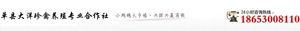 單縣大洋珍禽養殖專業合作社，鷓鴣養殖，鷓鴣，鷓鴣苗。山東單縣咨詢18653008110
