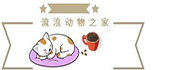 流浪動(dòng)物之家