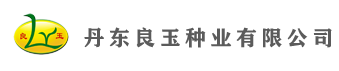 丹東良玉種業(yè)有限公司 - 玉米種子|良玉種業(yè)|良玉