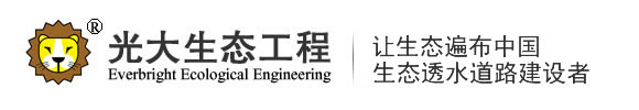 江蘇光大生態(tài)工程技術(shù)有限公司_透水混凝土增強(qiáng)劑,透水混凝土保護(hù)劑,透水混凝土廠家