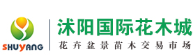 沭陽國際花木城_專業(yè)綠化苗木花卉盆景批發(fā)市場【官網(wǎng)】