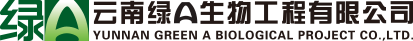 首頁-
螺旋藻產(chǎn)業(yè)從這里起步！云南綠A-官方網(wǎng)站 | 云南綠A生物工程有限公司|云南省螺旋藻公司|云南省螺旋藻批發(fā)公司
