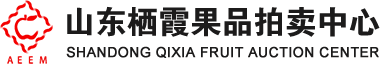 山東棲霞果品拍賣(mài)中心有限公司_棲霞果品拍賣(mài),棲霞蘋(píng)果,蘋(píng)果拍賣(mài),棲霞果品中心