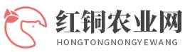 中國農業部（伴組）