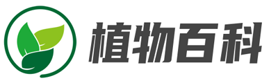口琴學習教程,吉它學習教程,吉他曲譜-瀚誠學習網