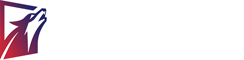 華狼團建策劃_深圳拓展培訓公司_戶外拓展訓練機構_專業企業拓展培訓項目_華狼拓展集團