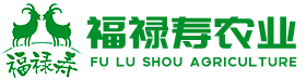 海門山羊肉_江蘇福祿壽農(nóng)業(yè)有限公司