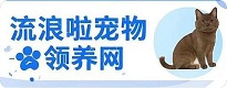 全國寵物領養(yǎng)中心，寵物棄養(yǎng)網(wǎng)站，流浪啦寵物領養(yǎng)網(wǎng)-