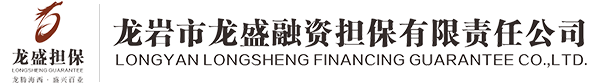 龍盛擔保 龍巖擔保公司 龍巖龍盛融資擔保責任有限公司