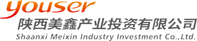 首頁 - 陜西美鑫產(chǎn)業(yè)投資有限公司