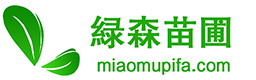 苗木批發網-園林綠化苗木花卉價格「基地直供」 - 綠森苗圃