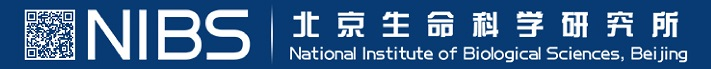 北京生命科學研究所