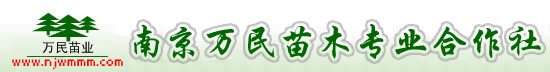 星辰影院-高清完整版中國(guó)字幕在線看韓國(guó)電影