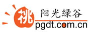 陽光綠谷-平谷大桃