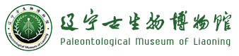 首頁 | 遼寧古生物博物館