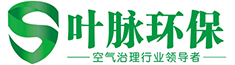 成都除甲醛_新都甲醛治理_室內空氣治理-四川葉脈環保科技有限公司