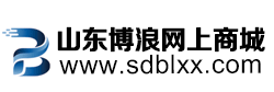 山東博浪信息技術有限公司-山東省政府采購網上商城供應商電商