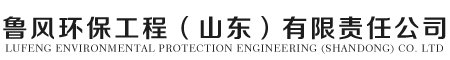 生物濾料_陶粒濾料_曝氣生物濾池濾料廠家批發(fā)價格-山東魯風環(huán)保