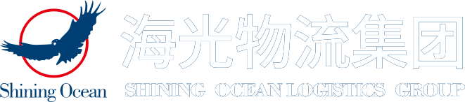 深圳市海光國(guó)際物流有限公司
